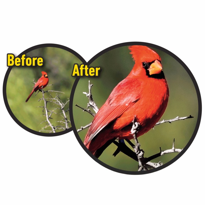 2 Pack Zoom Optics Deluxe Pro, , large