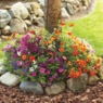 Easy Roll-Out Flower Mats, , large
