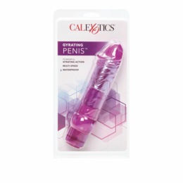 Gyrating Mister, , large