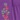 Embroidered Pant, Purple, swatch