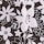 Black Floral