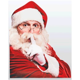 Secret Santa, , large